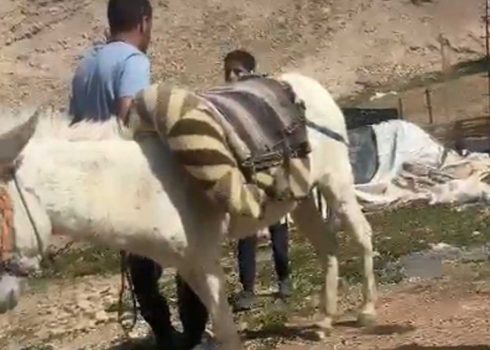 مستوطن يهدد عبد الله نصر (13 عامًا). من توثيق فيديو  