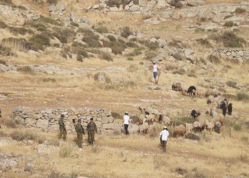 Three of the settlers with the sheep and the soldiers on Rib’i’s land. Photo: Basel al-Adrah, B’Tselem, 11 May 2024