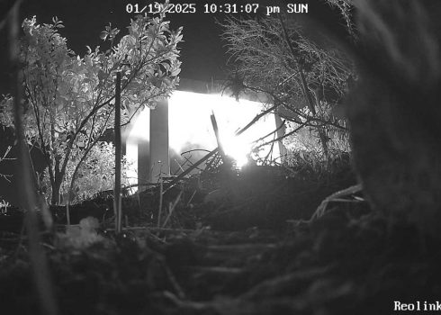 المبنى الزراعي الخاص بنائل عبد الله وهو يحترق، بعد إضرام المستوطنين النار فيه. صورة من كاميرا المراقبة قدمها عبد الله مشكورًا 