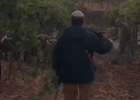 A settler with a flock in the Sa’dah family orchard. Photo courtesy of the family