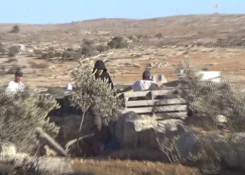 المستوطنون يقتحمون باحة المنزل. صورة قدمها السكان مشكورين