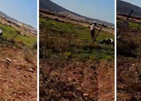 المستوطن يهاجم موسى جبارين ثم يهرب. صورة قدمها السكان مشكورين