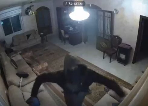 مستوطن يخرّب كاميرا المراقبة. من شريط وثقته كاميرا المراقبة