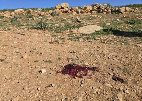 الموقع الذي قُتل فيه أمير شِنّاران، قرب حقل عائلته. تصوير: نصر نواجعة، بتسيلم