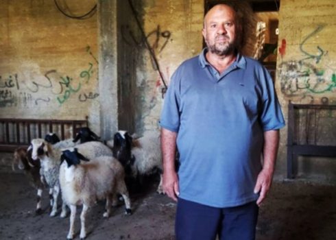 ‘Akef Bani Jaber with the few sheep he has left in the pen. Photo: Salma a‑Deb’i, B’Tselem