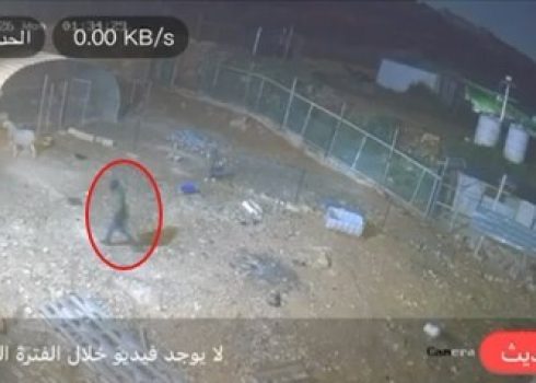 المستوطن في حظيرة المواشي. من توثيق كاميرات المراقبة