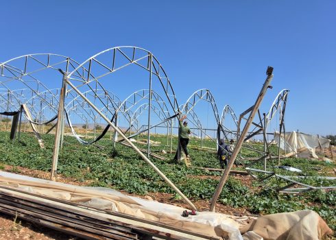 Greenhouses taken down in Bardalah, 7 May 2026 Photo: 'Aref Daraghmeh, B'Tselem