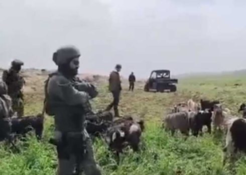 مستوطنون وجنود يرعون الأغنام في حقل فلسطيني في خربة الطويل بتاريخ 21.3.26. من فيديو توثيقيّ قدمته منظمة "ننظر إلى الاحتلال في عينيه" مشكورة
