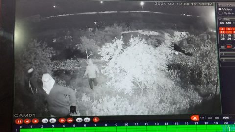 מתוך תיעוד הווידאו