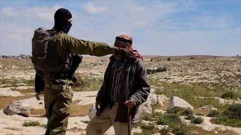 מתוך תיעוד הווידאו