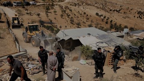 מתוך תיעוד הווידיאו