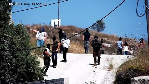 מתוך תיעוד הווידאו