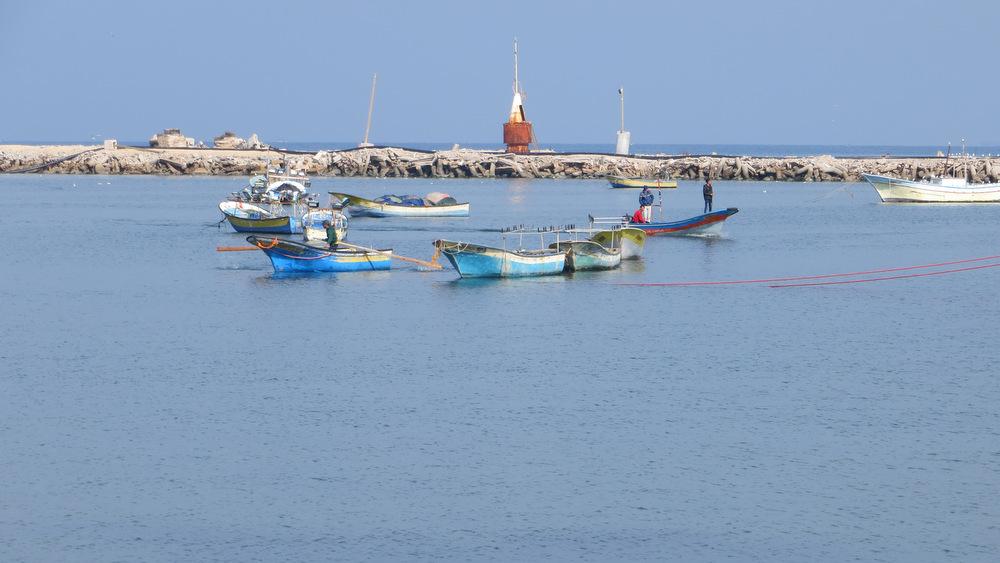 Boats in the harbor, 2 December 2013.