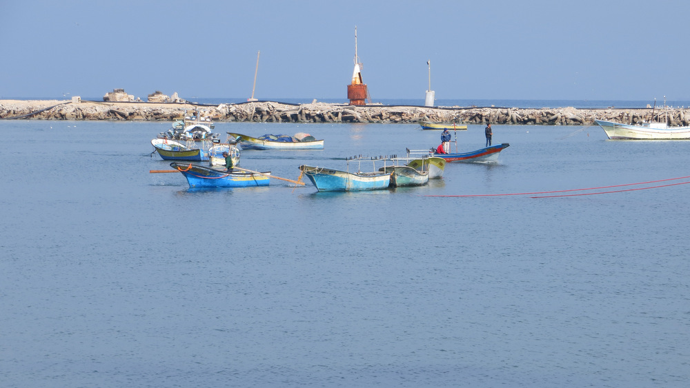 Boats in the harbor, 2 December 2013.