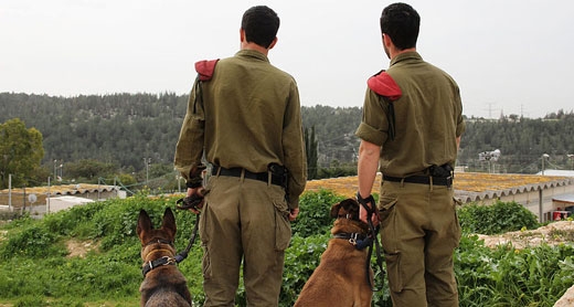 جنود وكلاب وحدة ''عوكتس''. تصوير: الناطق بلسان الجيش، عن ويكيبيديا.