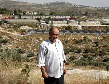 'Abd a-Latif 'Obeid. In the background, the greenhouses of the Qedumim settlement that were built on land stolen from him. Yesilan Dallal, B'Tselem, 30 June 2010.