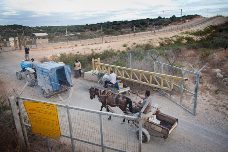Palestinians cross at an agricultural gate at Jayus, 24 September 2012. Photo: Oren Ziv, activestills.org. Palestinians cross at an agricultural gate at Jayus, 24 September 2012. Photo: Oren Ziv, activestills.org.