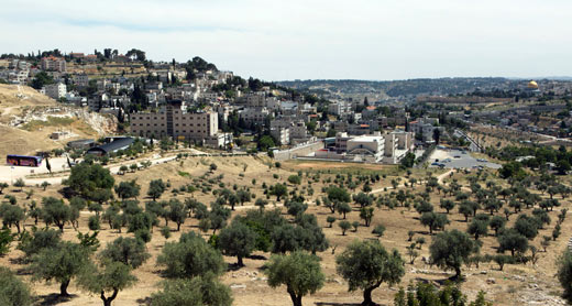 Al-Ibrahimiya School; a-Sawaneh neighborhood seen on its right. Photo: Keren Manor, Activestills, 15 May 2014
