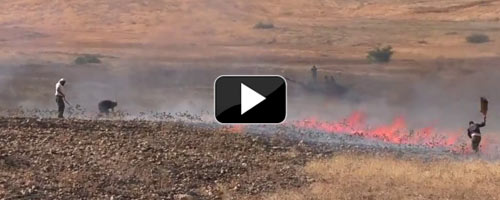 Video: Temporary displacement of Jordan Valley communities, June 2015