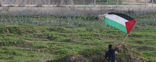 Five Palestinians killed when Israeli military fired at protesters near Gaza perimeter fence, Dec. 2015-Jan. 2016 Five Palestinians killed when Israeli military fired at protesters near Gaza perimeter fence, Dec. 2015-Jan. 2016