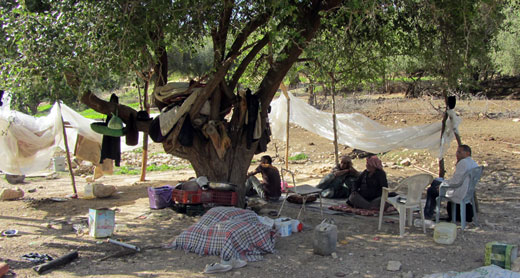 Residents sheltering under a tree after their home in Wadi al-Qalt was demolished. Photo by Mus’ab ‘Abbas, B’Tselem, 7 Mar. 2016