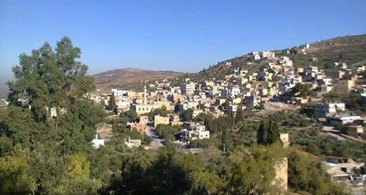 قرية بورين، الصورة بلطف من مجلس قرية بورين. قرية بورين، الصورة بلطف من مجلس قرية بورين.