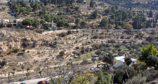 חלק משטח הגן המתוכנן בהר הזיתים. צילום: נגה קדמן, בצלם, 11.11.14