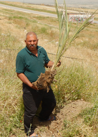 Ahmad Zubeidat. Photo by 'Aref Daraghmeh, B'Tselem, 5 April 2017 Ahmad Zubeidat. Photo by 'Aref Daraghmeh, B'Tselem, 5 April 2017