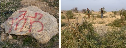 צילום: נסר א-נוואג'עה, בצלם צילום: נסר א-נוואג'עה, בצלם